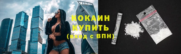 хмурый Белокуриха
