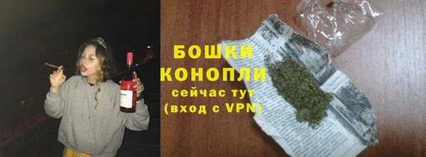 хмурый Белокуриха