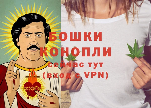 хмурый Белокуриха