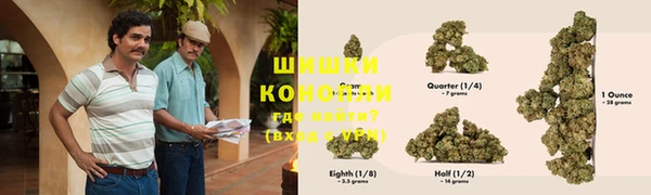 хмурый Белокуриха