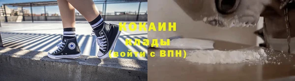 хмурый Белокуриха