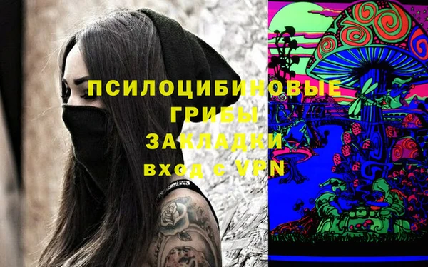 хмурый Белокуриха
