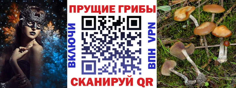 Псилоцибиновые грибы мухоморы  гидра ТОР  Кубинка  что такое  